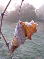 Nature Waters Season