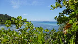 Seychelles Beach Sea Indian