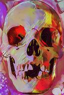 skull colorful drawing abstract