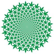 cannabis marijuana pot cyclone