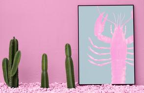 cacti by the cancer painting