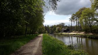 Nature Tree Landscape