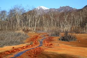 Hot Spring Forest Mountains