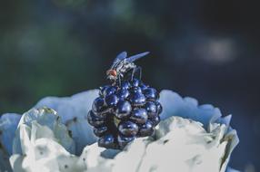 Nature Outdoors No One