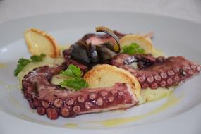 Fresh octopus with vegetables