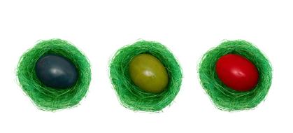 colored eggs in a green nest