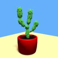 cactus desert dry plant nature