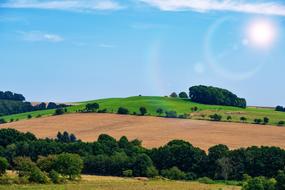 Landscape Reported Pasture