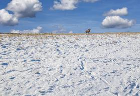 Landscape Snow Winter