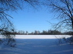 Winter Snow Coldly