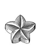 star flower shape design