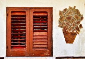 Window Vase Flower Succulent plant