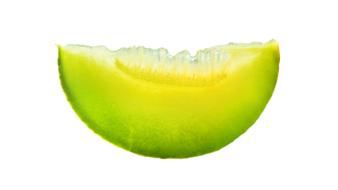 lime slice on a white background