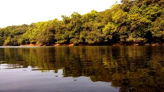 lake in the forest landscape