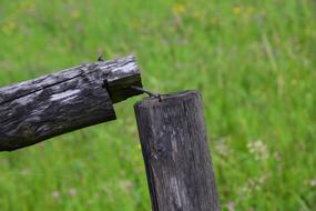 a broken black log on the green grass