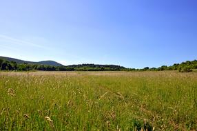 Field Landscape Rural