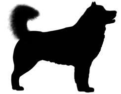 Silhouette of a dog with a fluffy tail