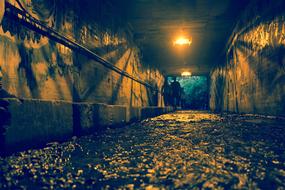 Nature Body Of Water Sunset