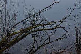 Mirroring Lake Water