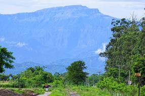 Fraile Pintado Cerro Calilegua