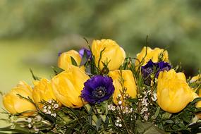 Still Life Flower Bouquet Spring