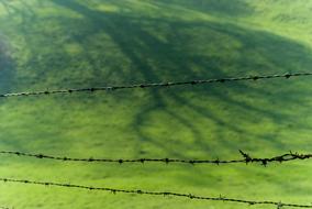 Nature Landscape Field