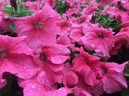 many colors in water droplets