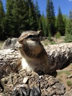 Nature Outdoors Wildlife