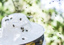 Outdoors Nature Winter