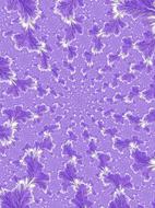 flower petals pattern