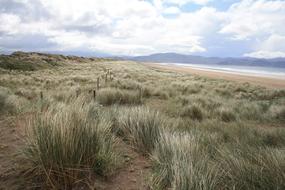 Nature Landscape Sky