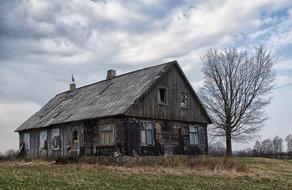 Tree House Landscape