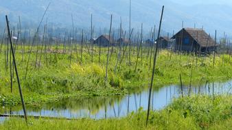 Reflection Water Nature