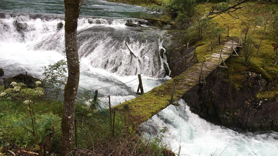 Nature Waters River