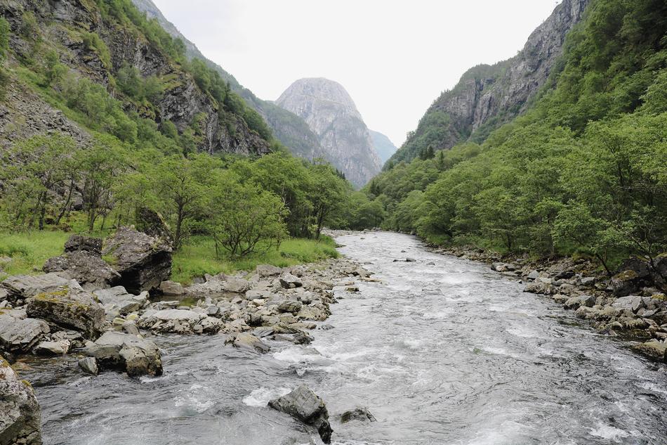 River Landscape Flow