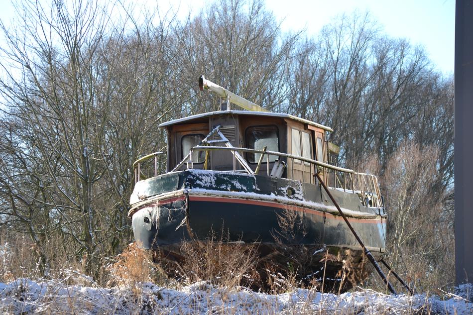 Winter Wood Snow