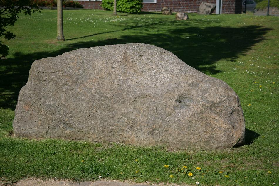 Grass Nature Stone