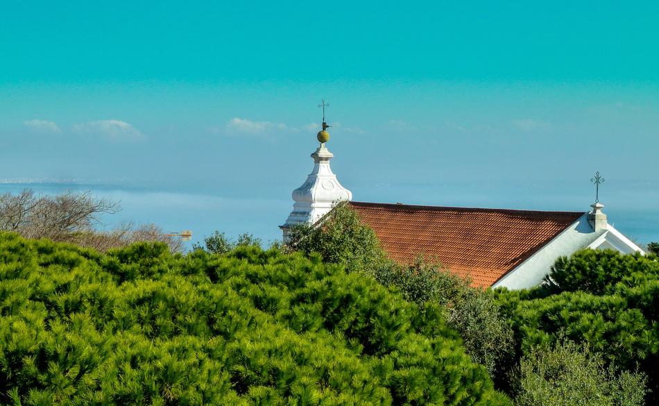 church hidden in the trees