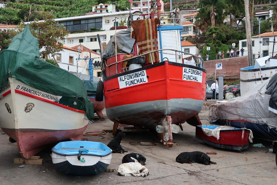 Madeira Transportation System
