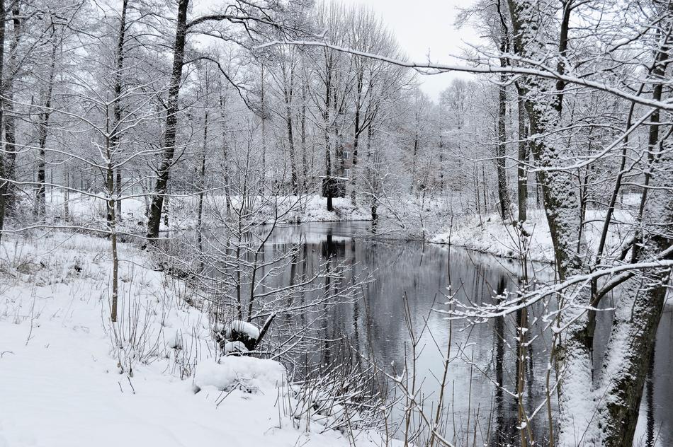 Winter Snow Frost