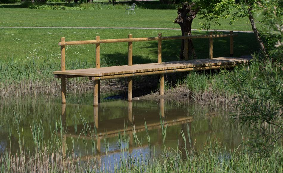 Waters Nature Web