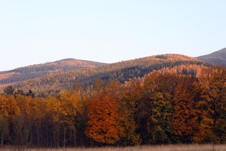 Autumn Mountains Color
