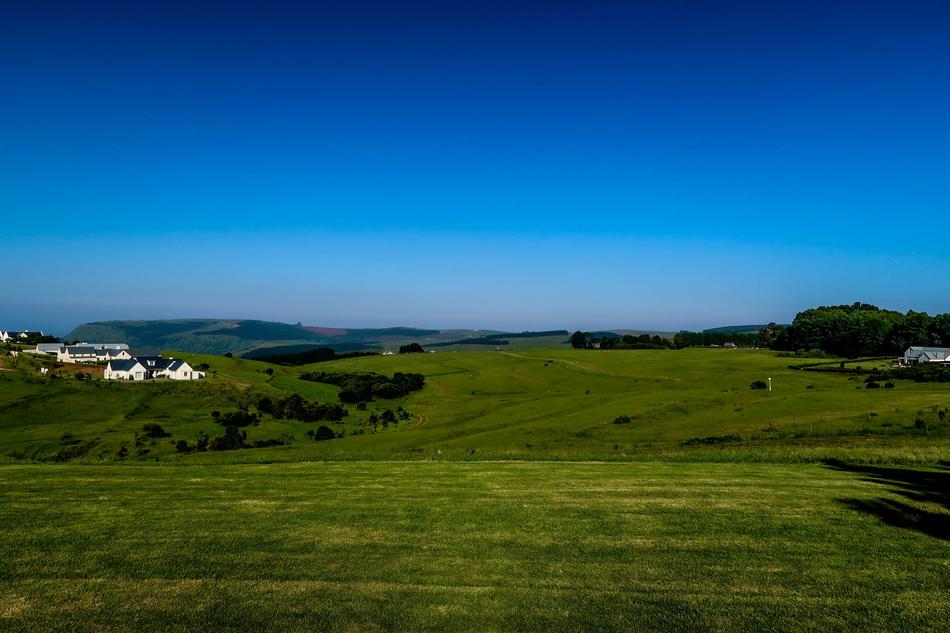 Grass Nature Panoramic