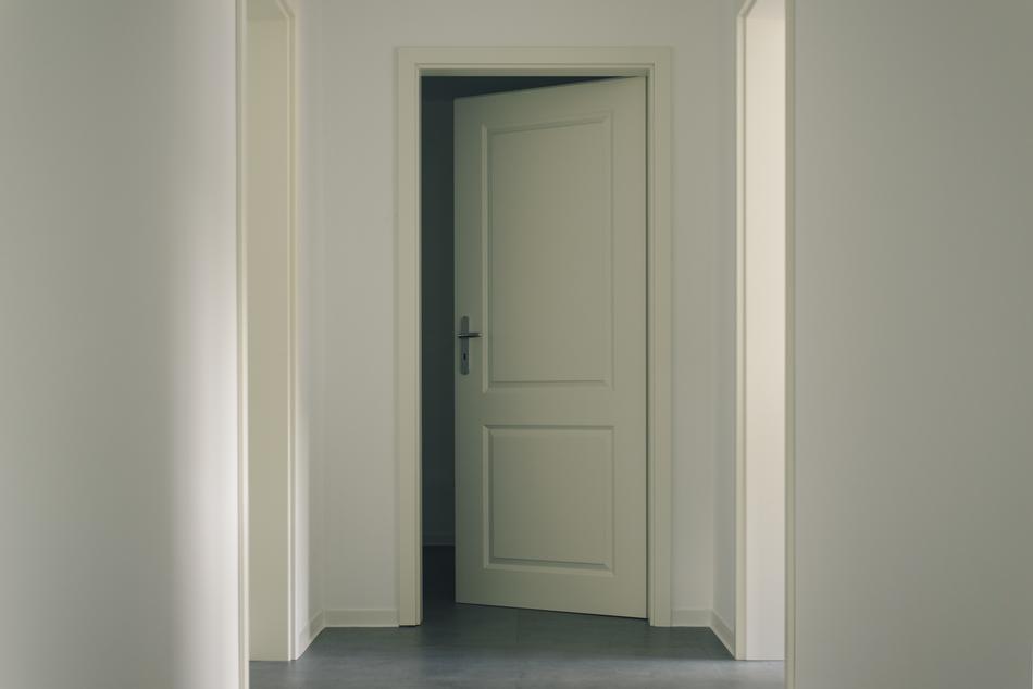 Door Contemporary Within