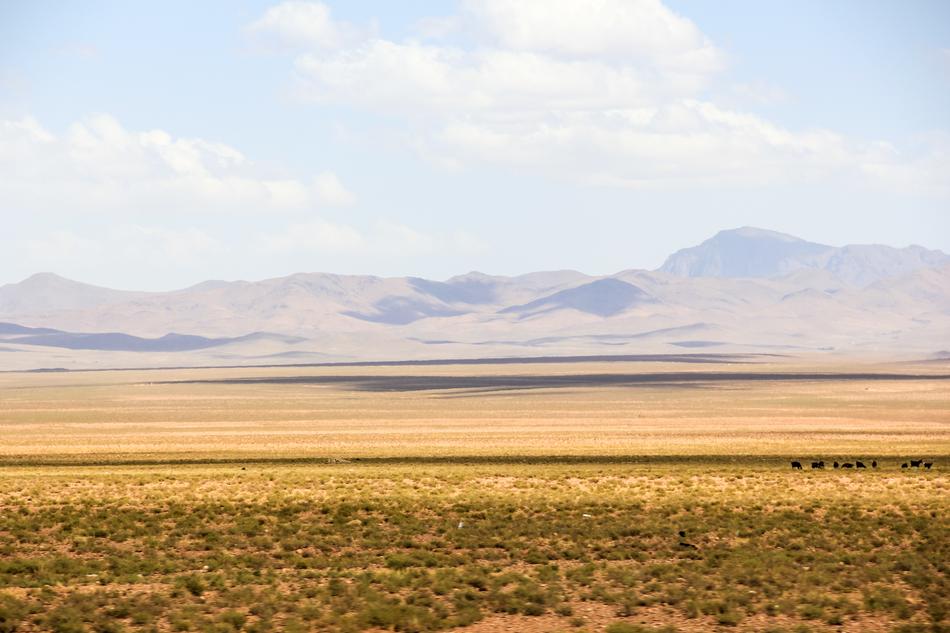 beautiful field landscape