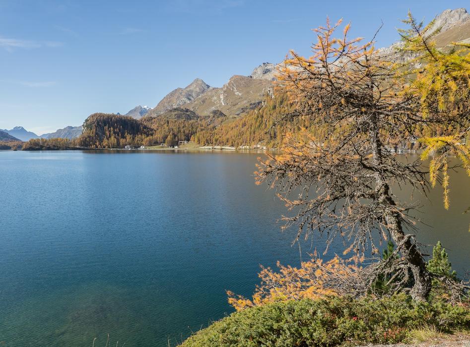 Lake Sils Switzerland Graubünden
