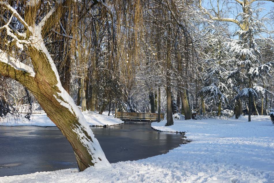 Snow Winter Cold