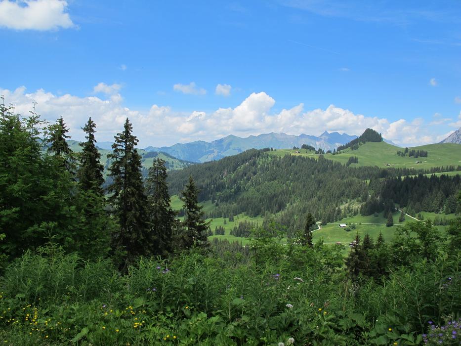 Nature Landscape Jura