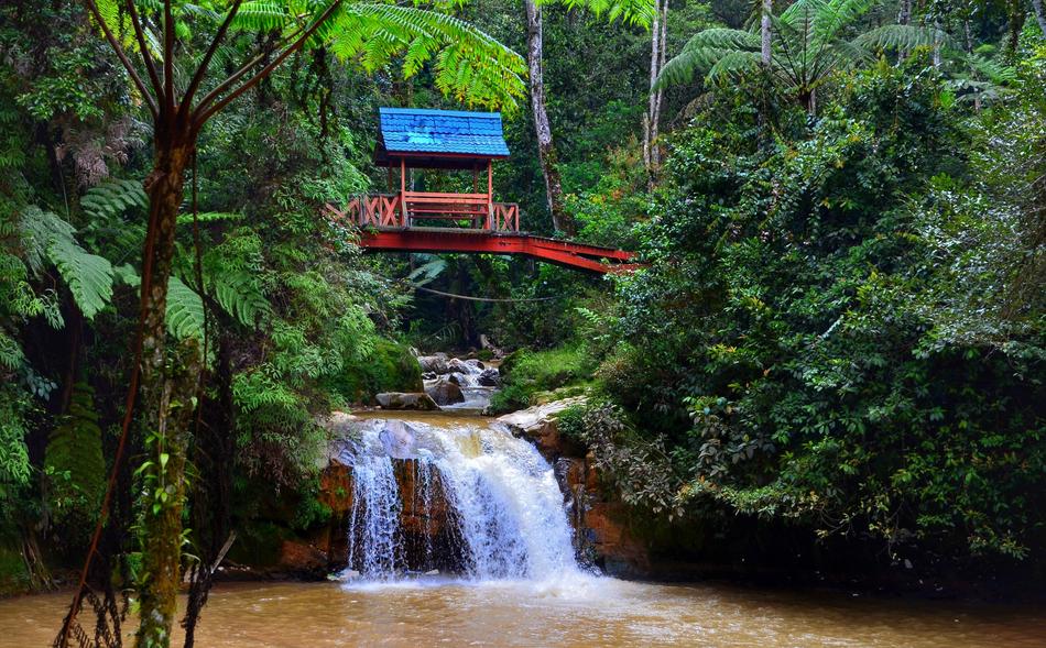 Cameron Highlands Malaysia