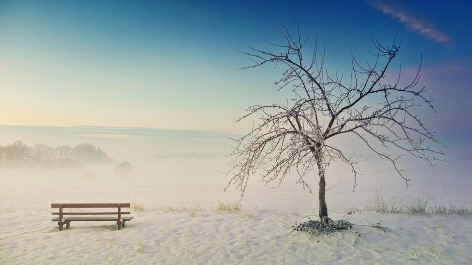 Winter Nature Landscape